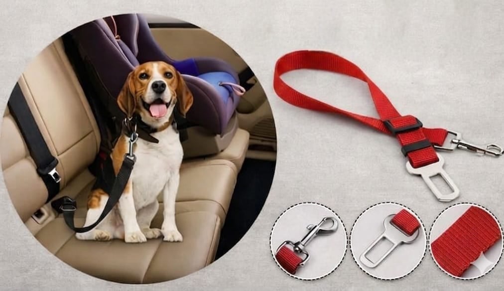 PawSafe* Cinturón de seguridad para perros//ENVIO GRATIS🔥