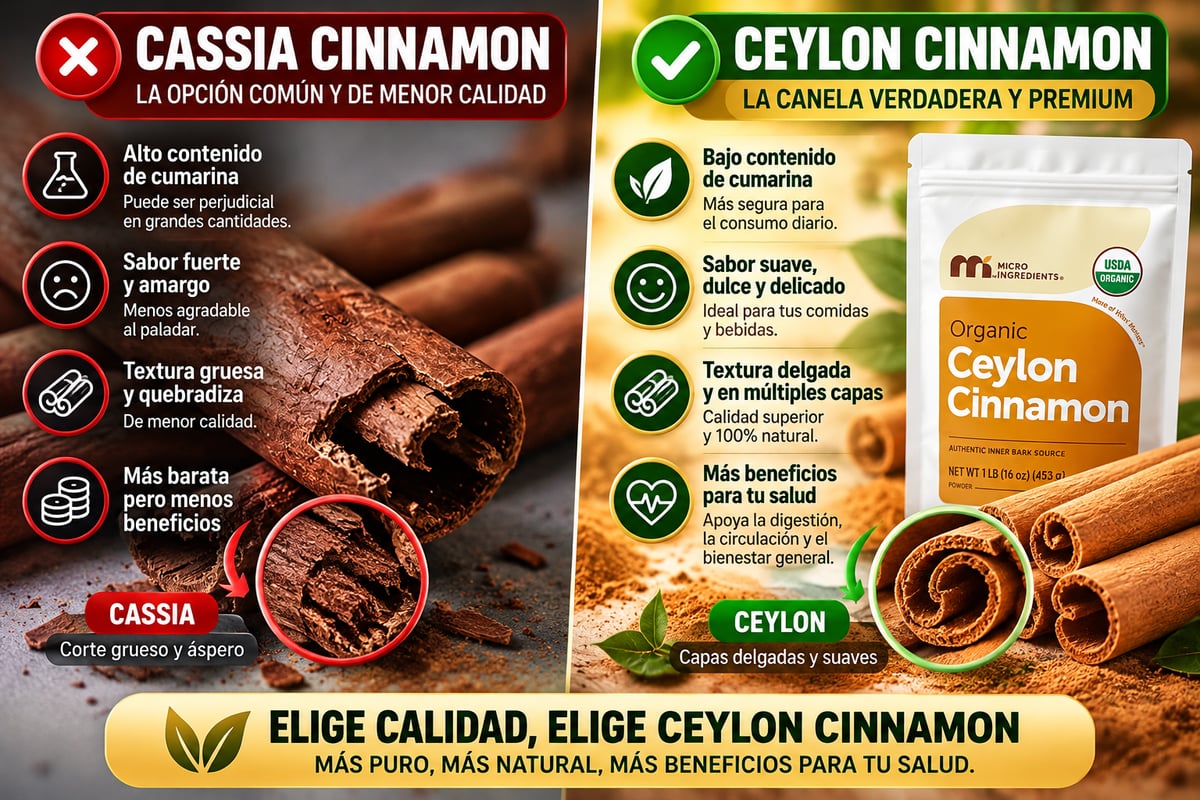 Canela de Ceilán 7200mg equivalente con aceite MCT