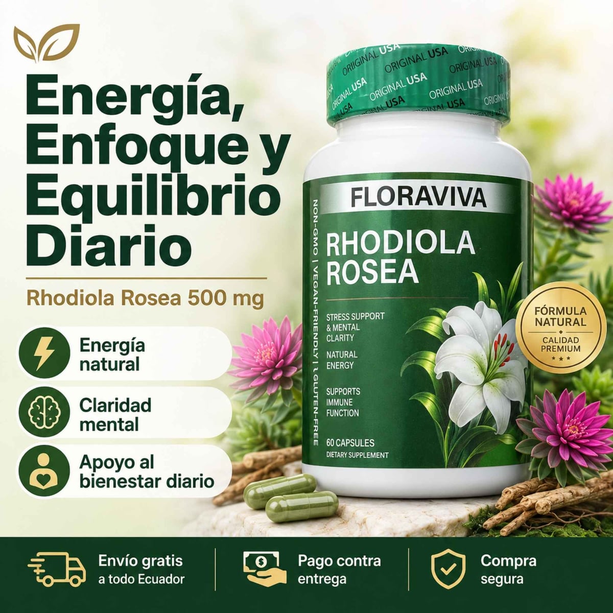 60 Capsulas Floraviva Rhodiola Rosea | Energía, Enfoque y Equilibrio Diario