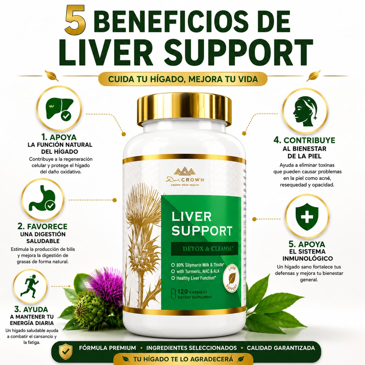 LIVER SUPPORT~ Suplemento de cardo mariano para limpieza hepática, desintoxicación y reparación
