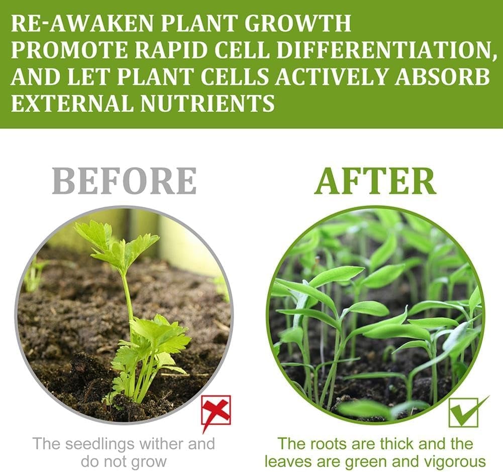 🚀🌿 Crecimiento Rápido Plantas – Envío Gratis