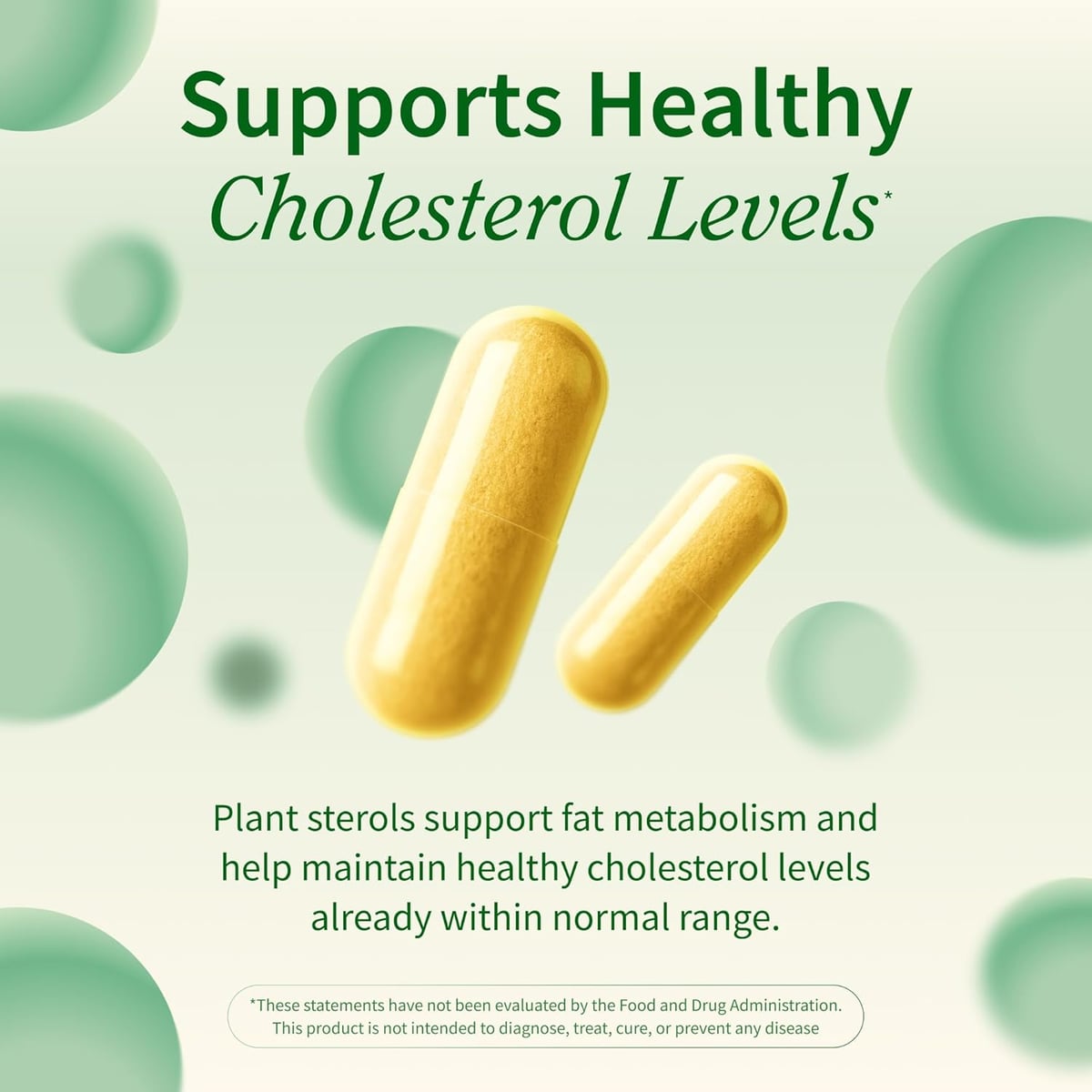 Colesterol Health