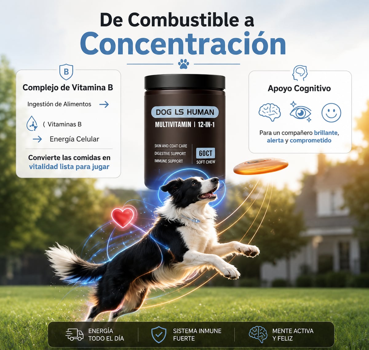 Dog is Human 🐾 Multivitaminico para tu mascota