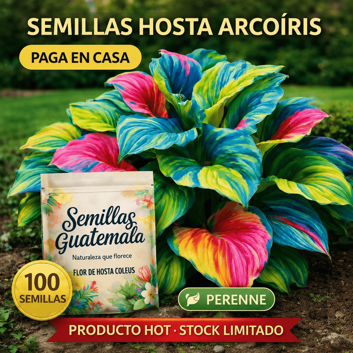 🌿Semillas de Hosta Arcoiris de Dios