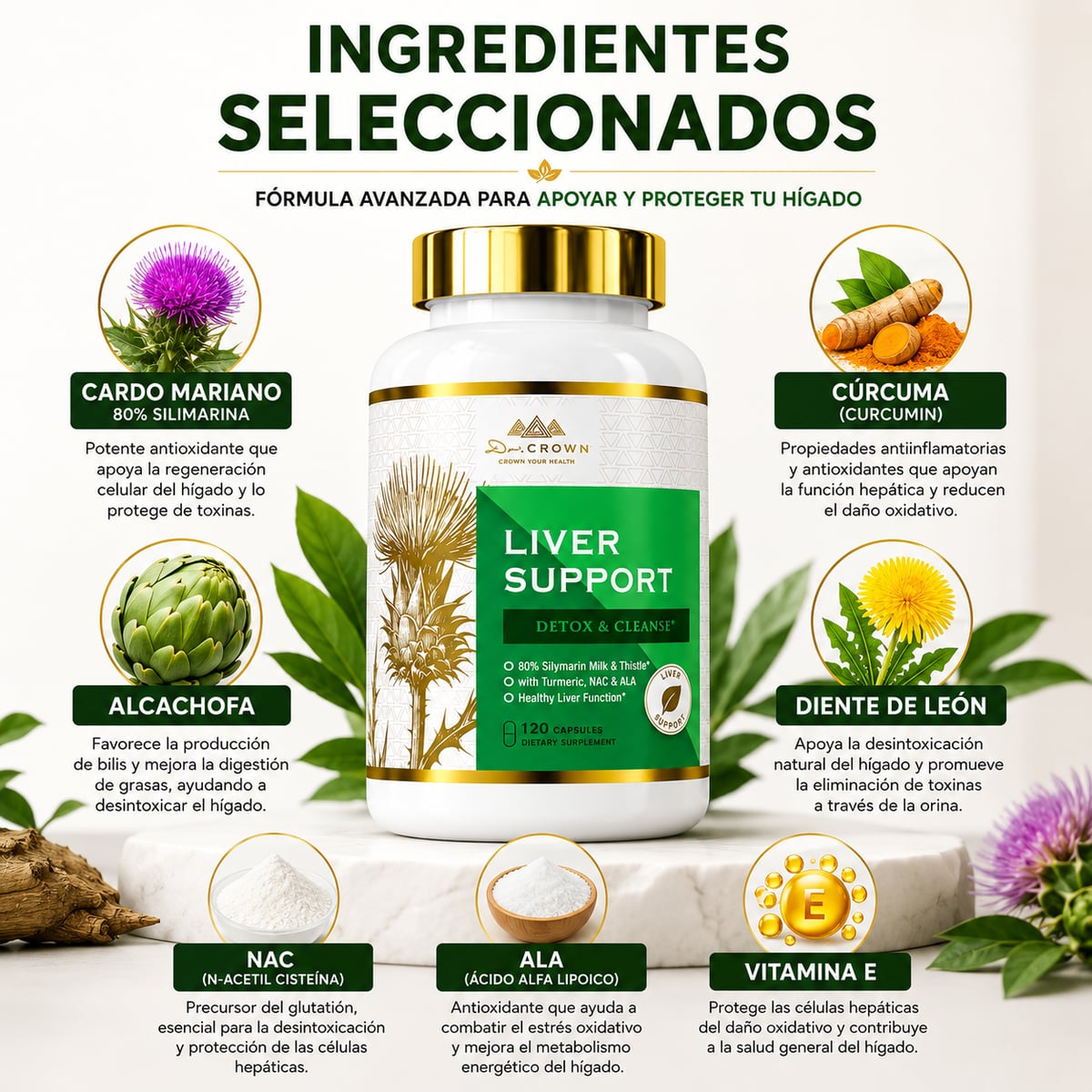 LIVER SUPPORT~ Suplemento de cardo mariano para limpieza hepática, desintoxicación y reparación