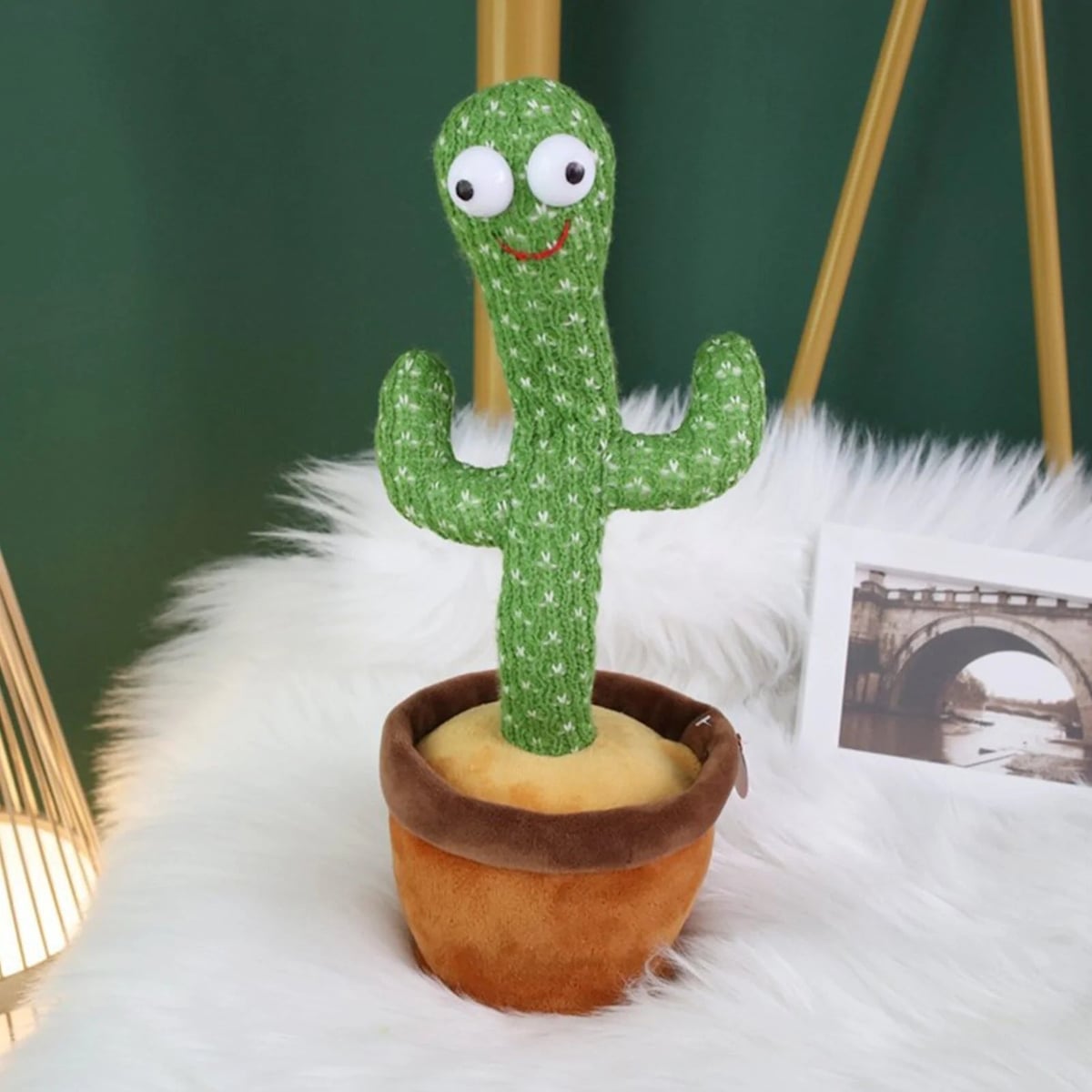 CACTUS BAILARÍN REPITE TODO - ORIGINAL® | ⭐⭐⭐⭐⭐