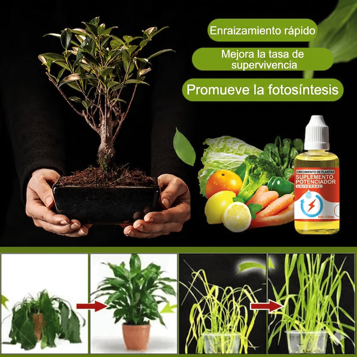 Estimulador de Raíces para Plantas + Envío Gratis