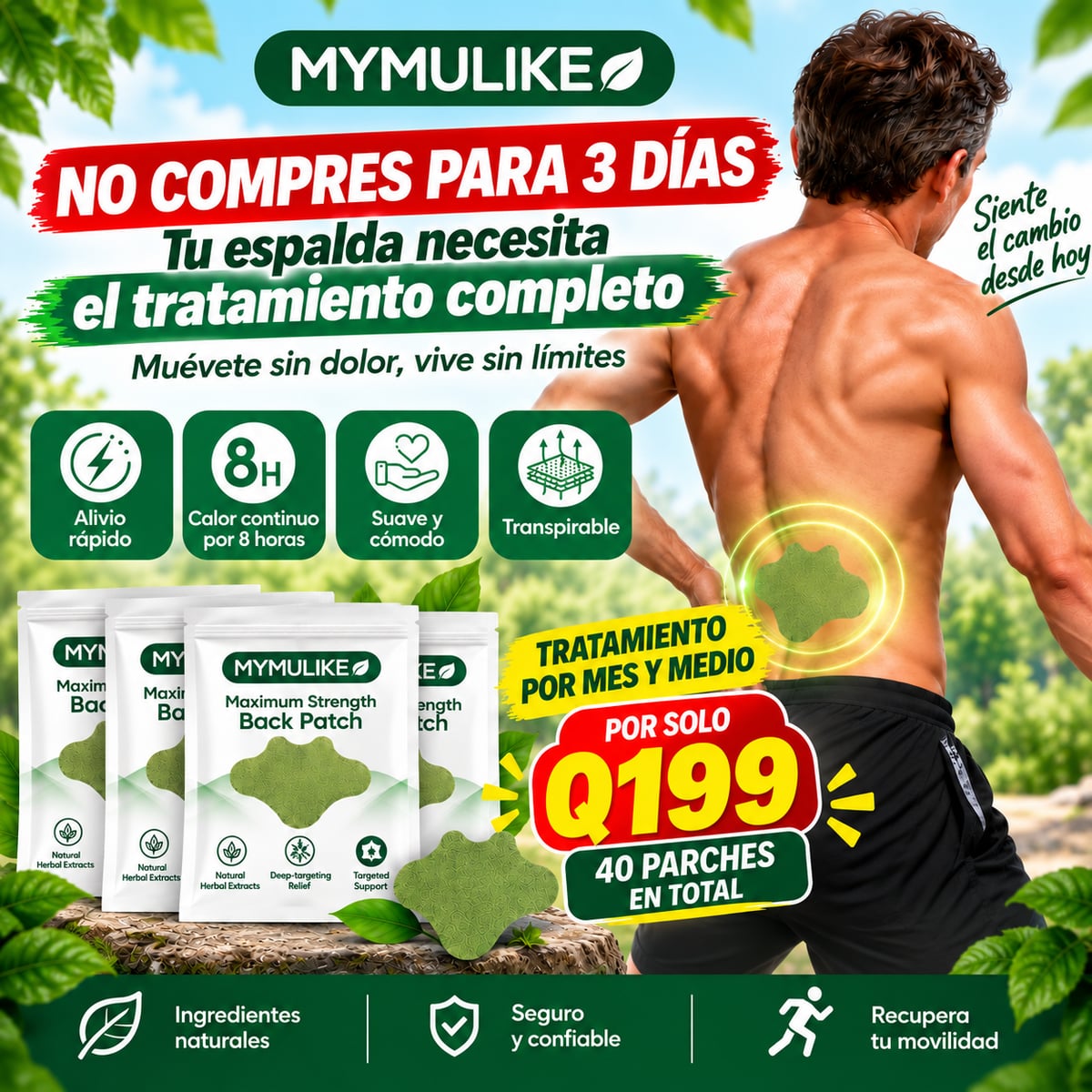Tratamiento herbal de 45 días, un parche al día. 40 parches