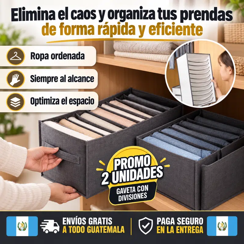 GABETA ORGANIZADORA CON DIVISIONES 🎁PROMO 2 UNDIADES🎁