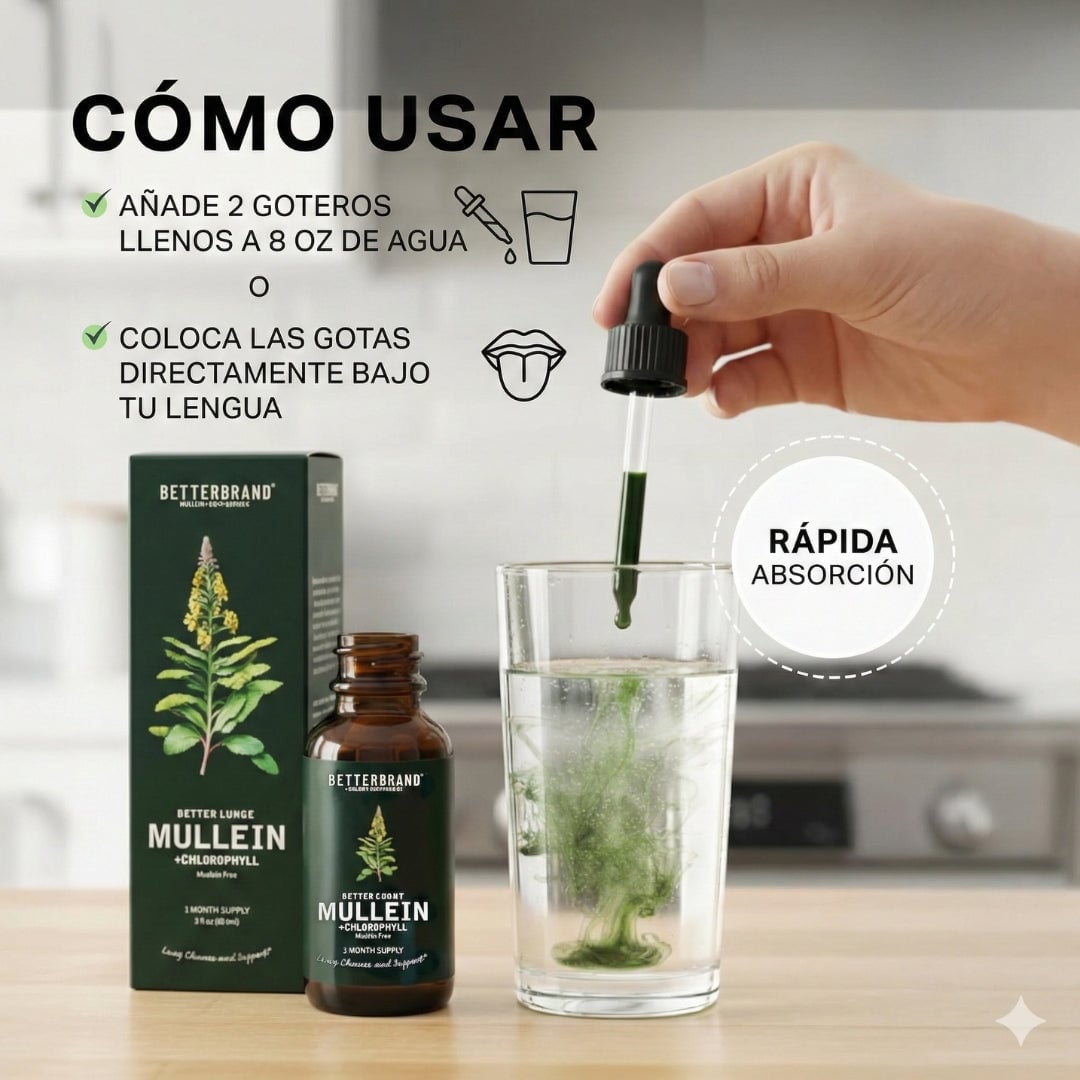 Mullein Clorofila — Respira Mejor y Recupera tu Bienestar Natural 🌿💧