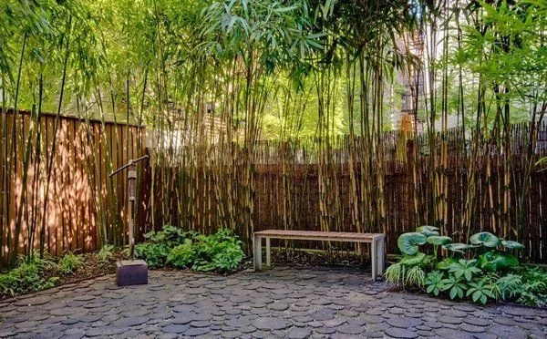 Foto de Carlos fernando p