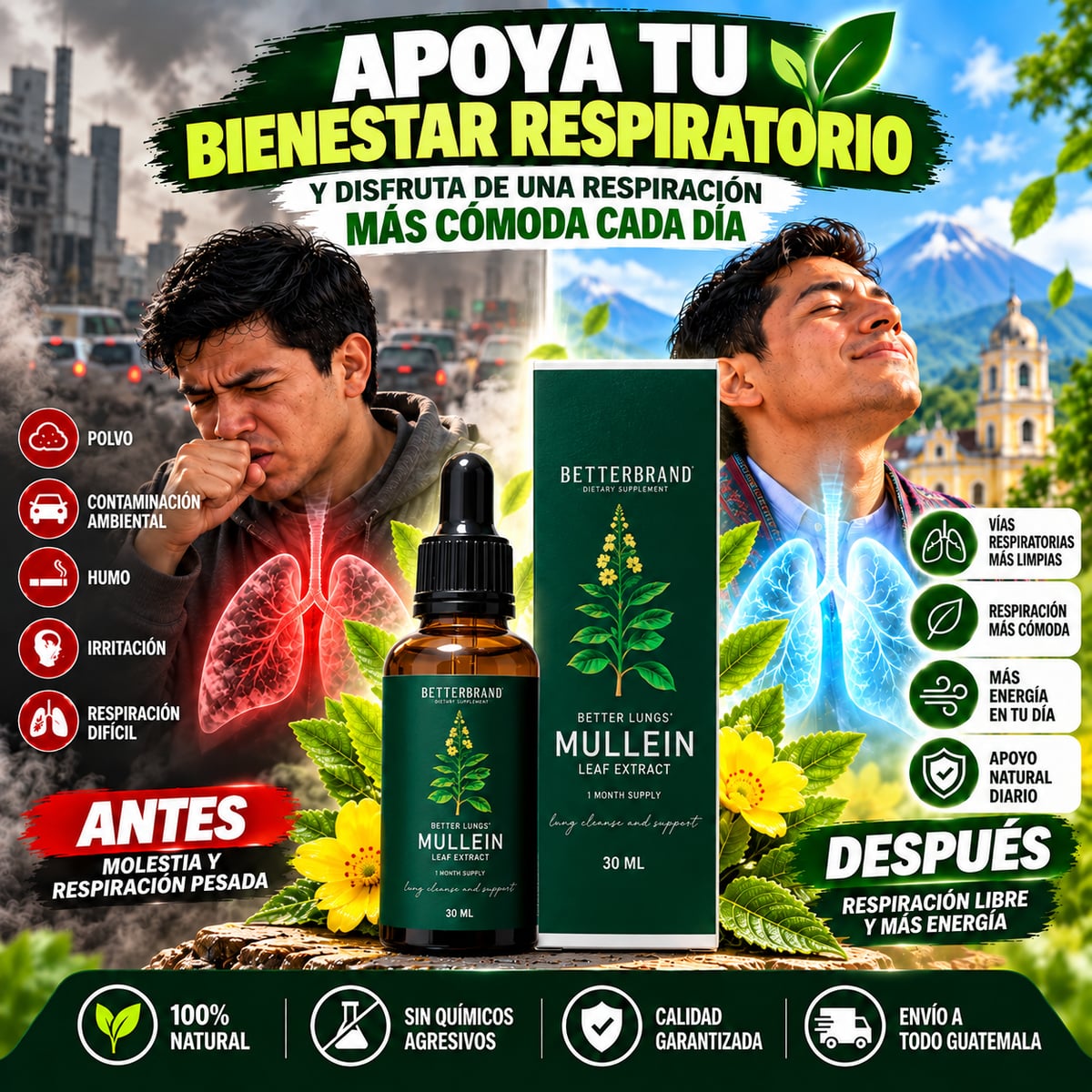 Mullein Leaf™ - Apoya naturalmente el bienestar de tus vías respiratorias