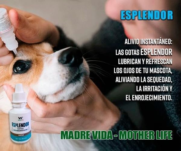 Alivio Visual Esplendor + Envío Gratis