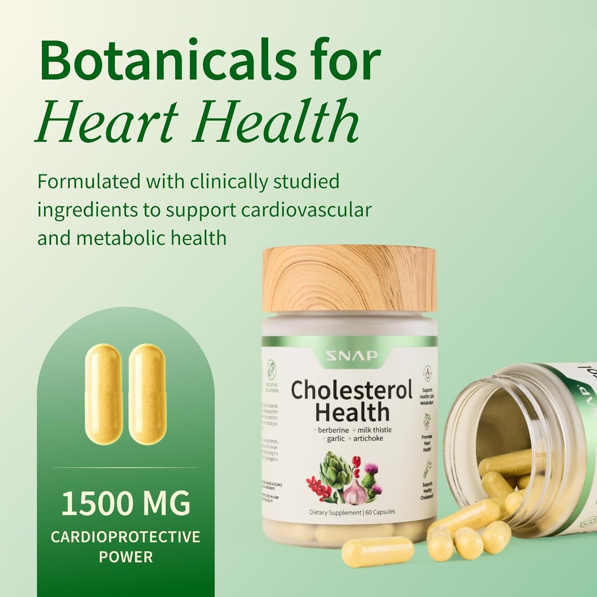 Colesterol Health