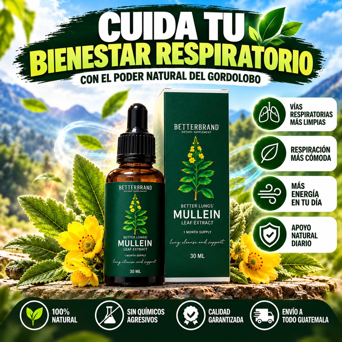 Mullein Leaf™ - Apoya naturalmente el bienestar de tus vías respiratorias