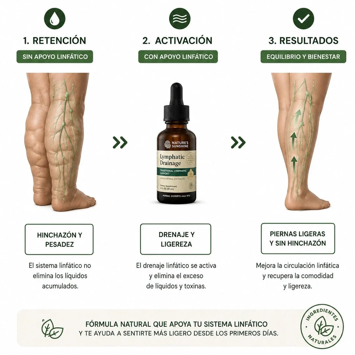 🌿 LYMPHATIC DRAINAGE™