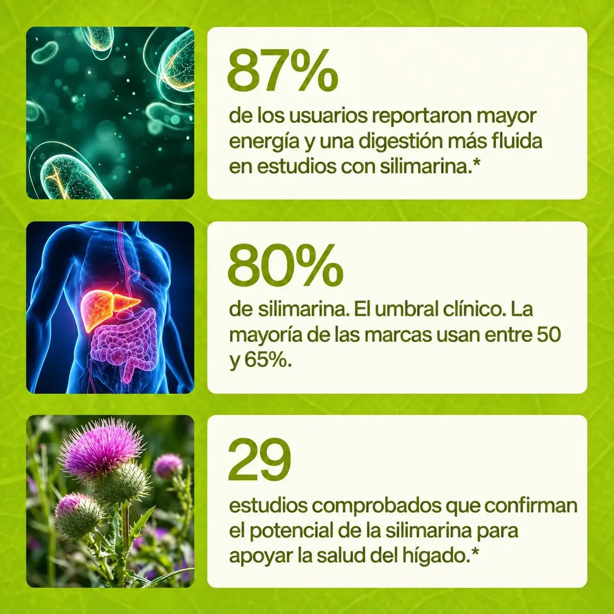 UVOLA — Apoyo hepático con cardo mariano