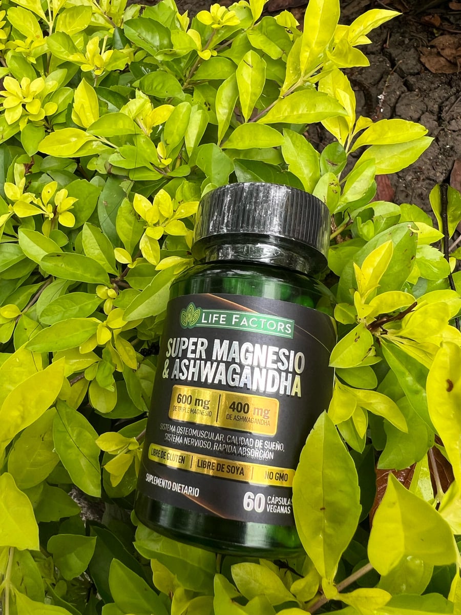 Life Factors * Ashwagandha & Magnesio