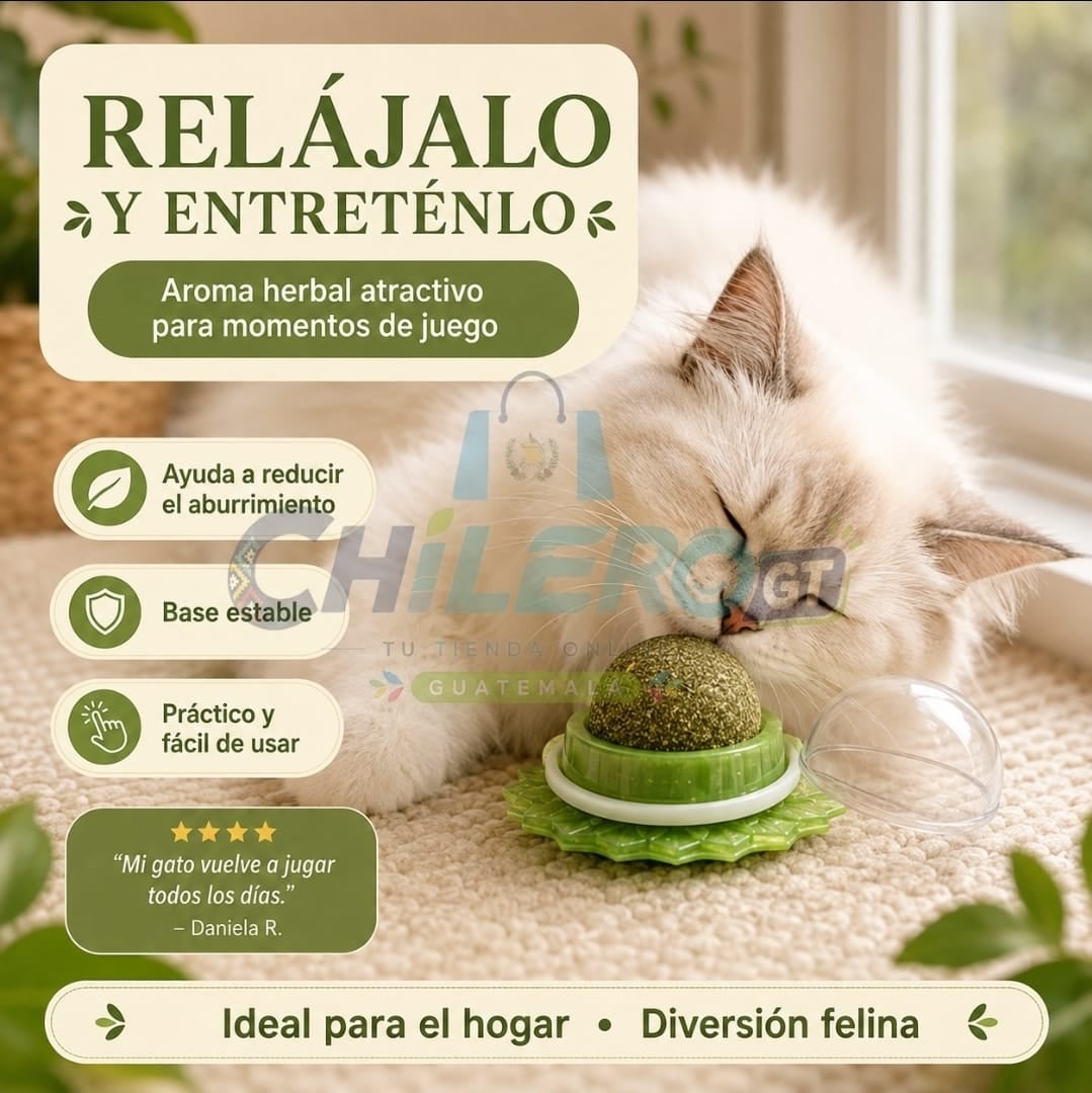 Catnip Natural para Gatos – Diversión y Estimulación