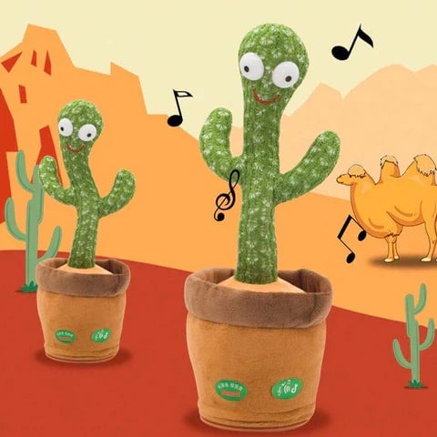 Cactus Bailarín + ENVIO GRATIS