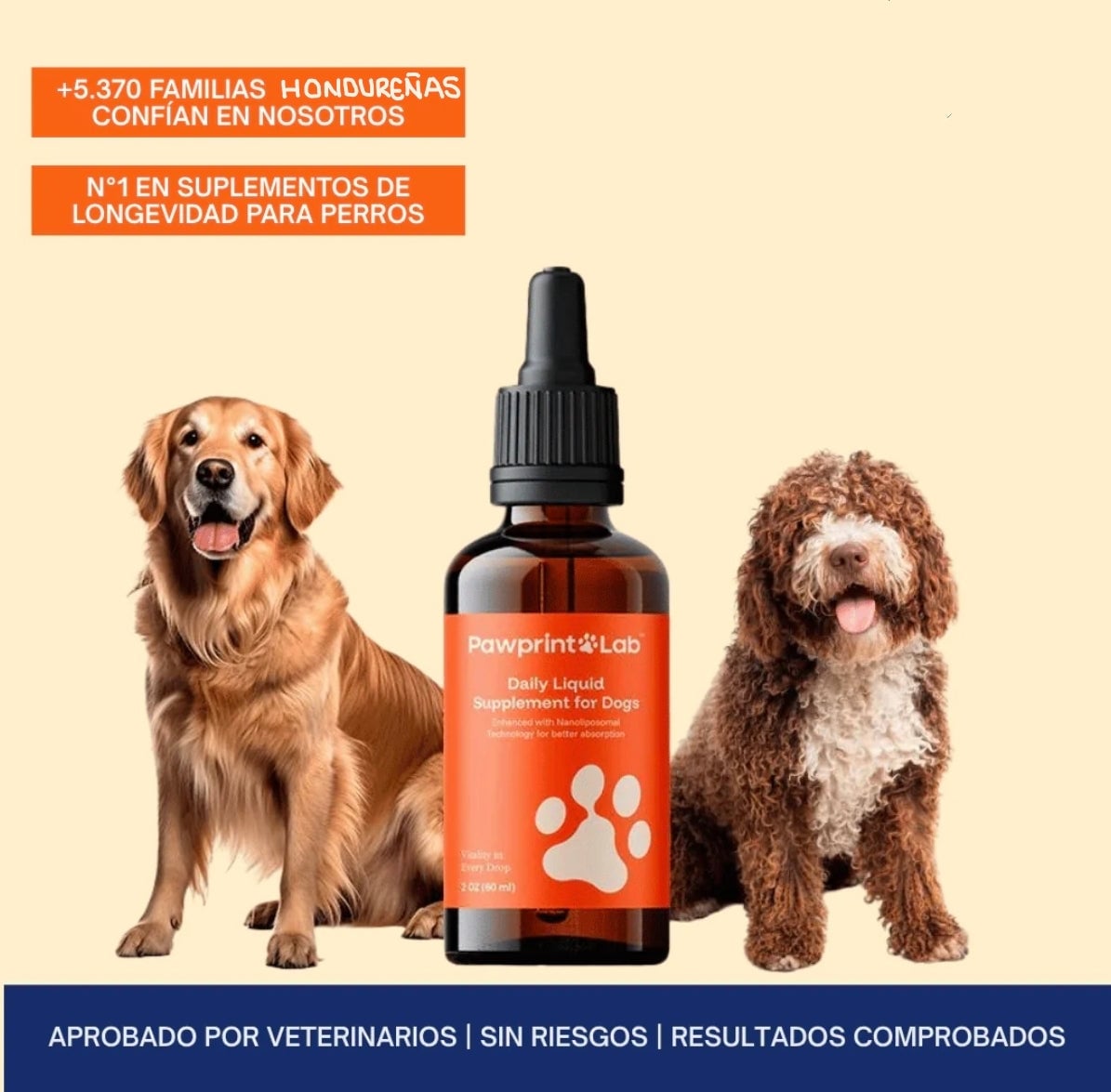Pawprint: La fórmula que retrasa la edad de tu compañero