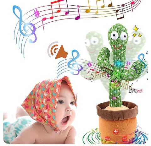 Cactus Bailarín + ENVIO GRATIS
