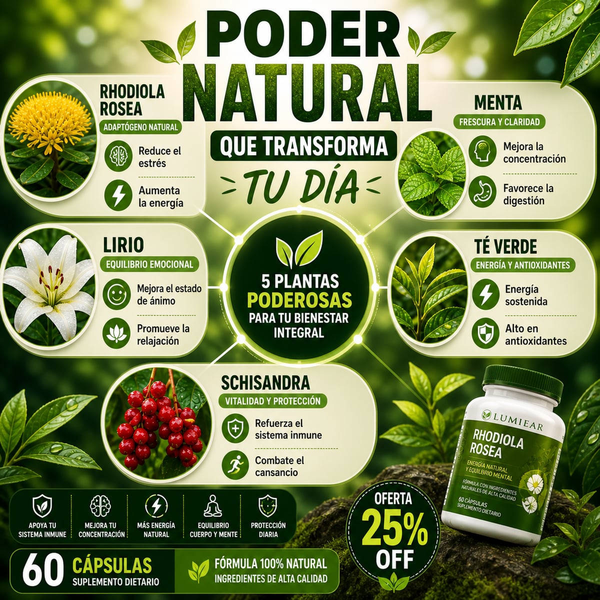 🌱 Fórmula Natural Antiestrés y Energizante Rhodiola Rosea + Té Verde + Schisandra | Equilibrio, Energía y Bienestar |🌿-60 Capsulas