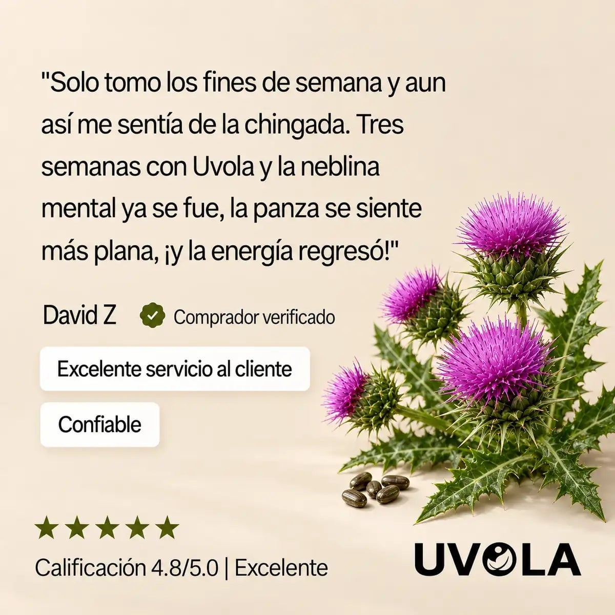 UVOLA — Apoyo hepático con cardo mariano