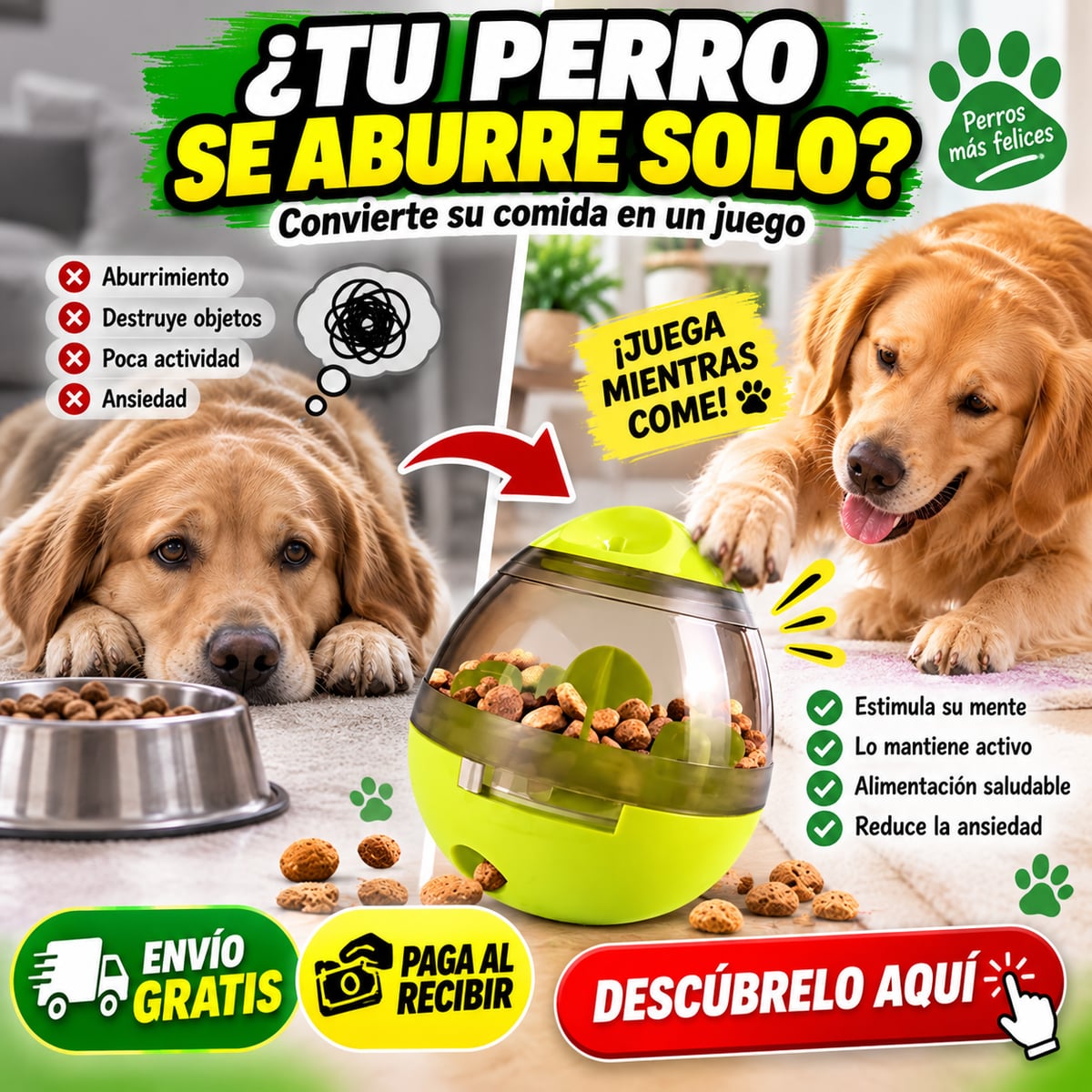 PetFun Feeder™ 