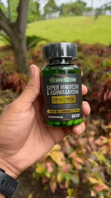 Life Factors * Ashwagandha & Magnesio