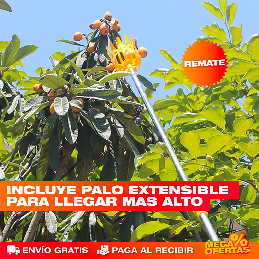 RECOGEDOR DE FRUTAS PROFESIONAL