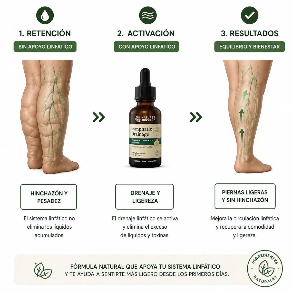 DRENAJE LINFÁTICO NATURAL ORIGINAL 😍 SUPER OFERTA