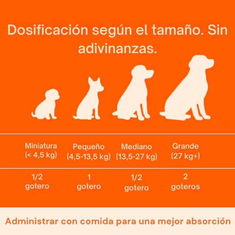 Pawprint: La fórmula que retrasa la edad de tu compañero