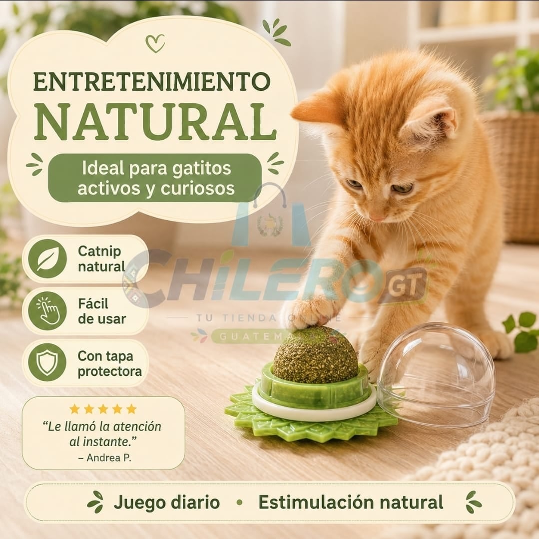 Catnip Natural para Gatos – Diversión y Estimulación