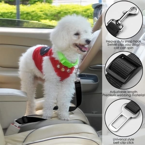 PawSafe* Cinturón de seguridad para perros//ENVIO GRATIS🔥