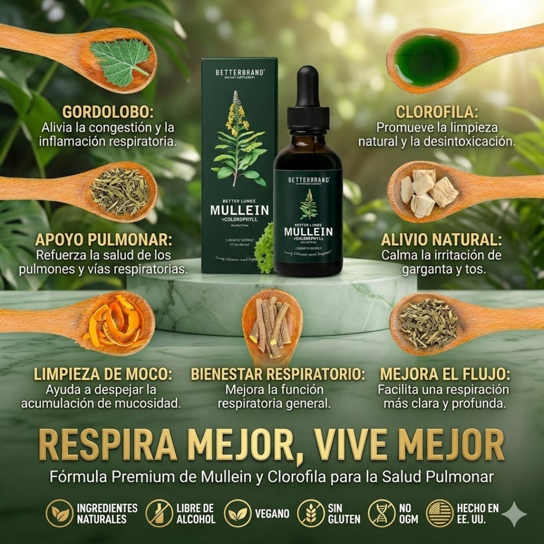 Mullein Clorofila — Respira Mejor y Recupera tu Bienestar Natural 🌿💧