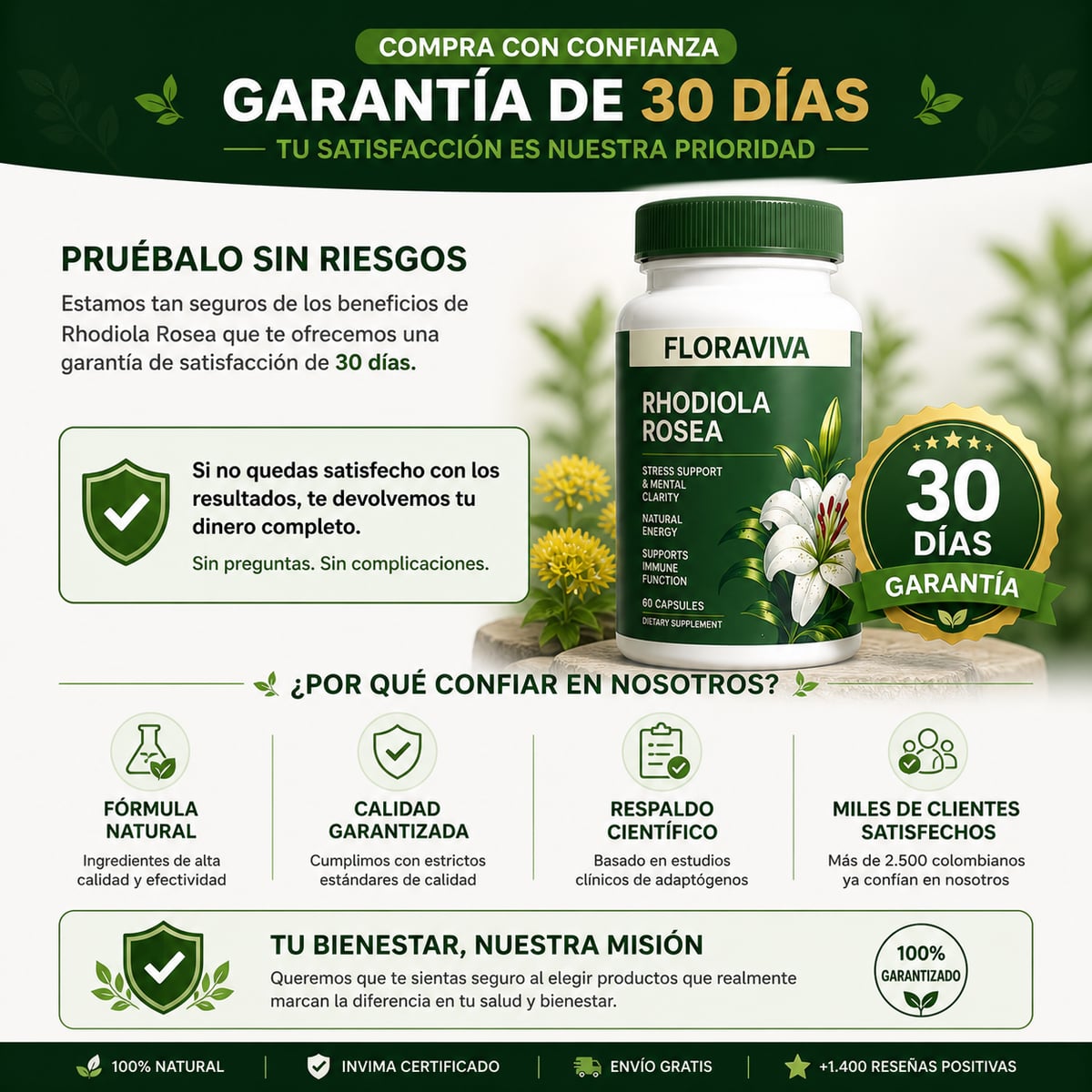 🌱 Fórmula Natural Antiestrés y Energizante Rhodiola Rosea + Té Verde + Schisandra | Equilibrio, Energía y Bienestar |🌿-60 Capsulas