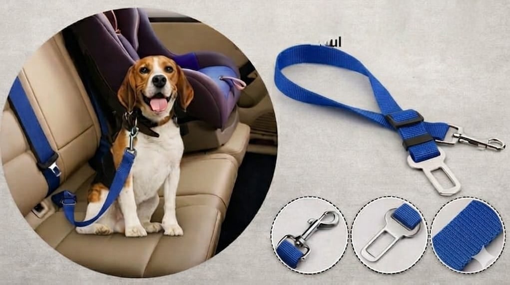 PawSafe* Cinturón de seguridad para perros//ENVIO GRATIS🔥