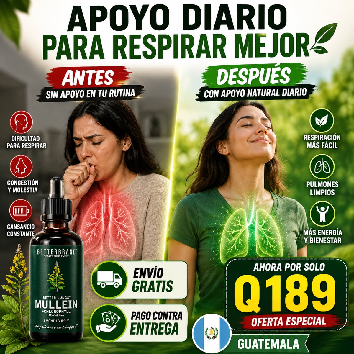 MULLEIN+CHLOROPHYLL+ ENVIO GRATIS