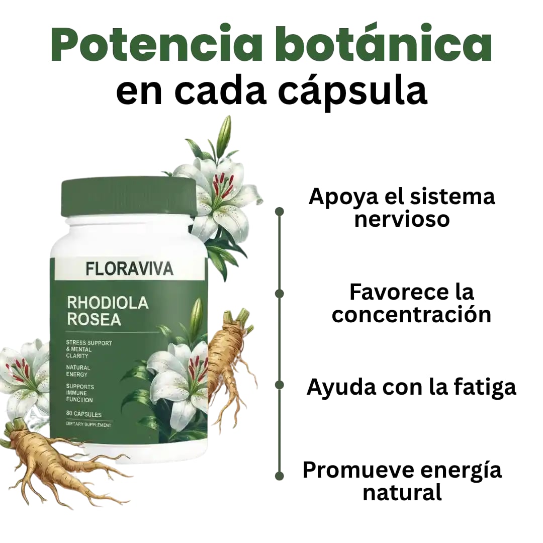 Rhodiola Focus