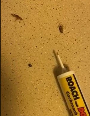 Foto de Rafael Diaz