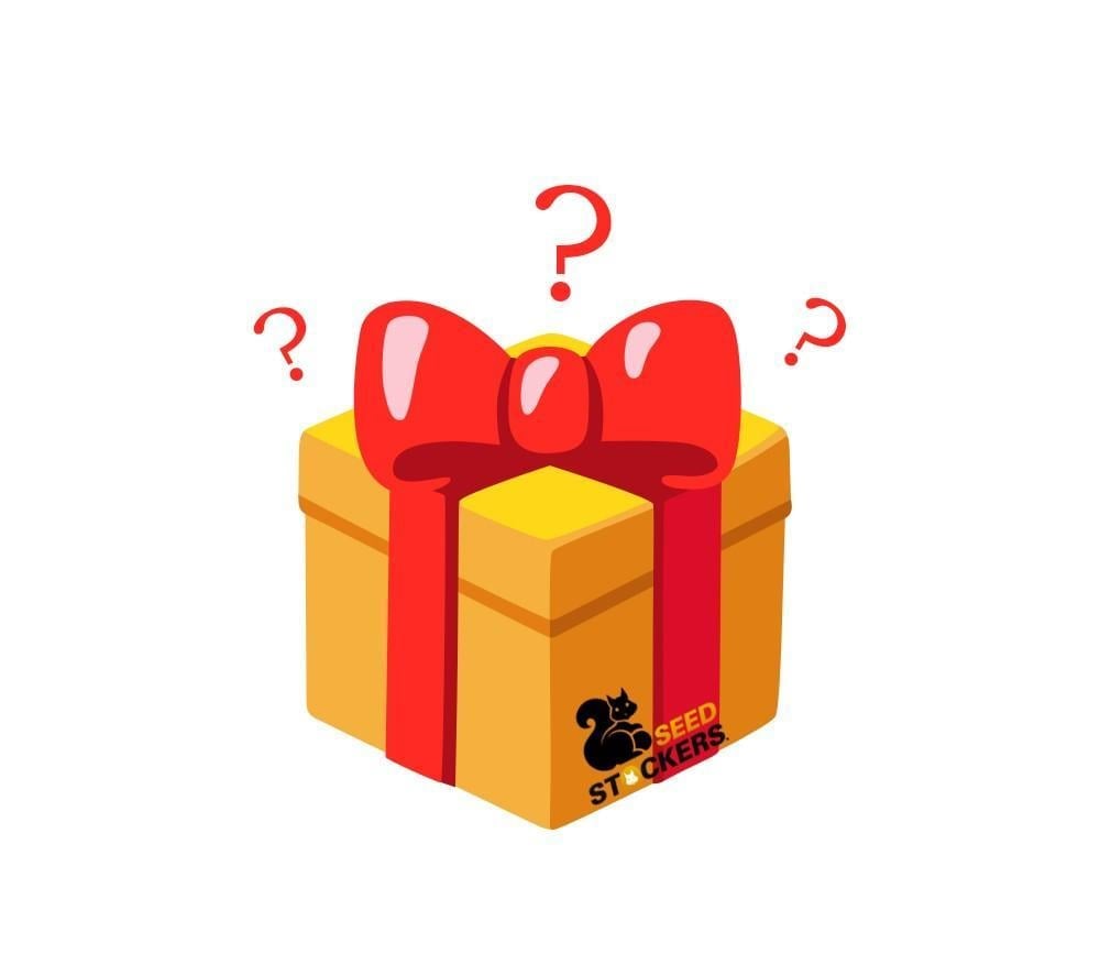 Producto Sorpresa 🎁