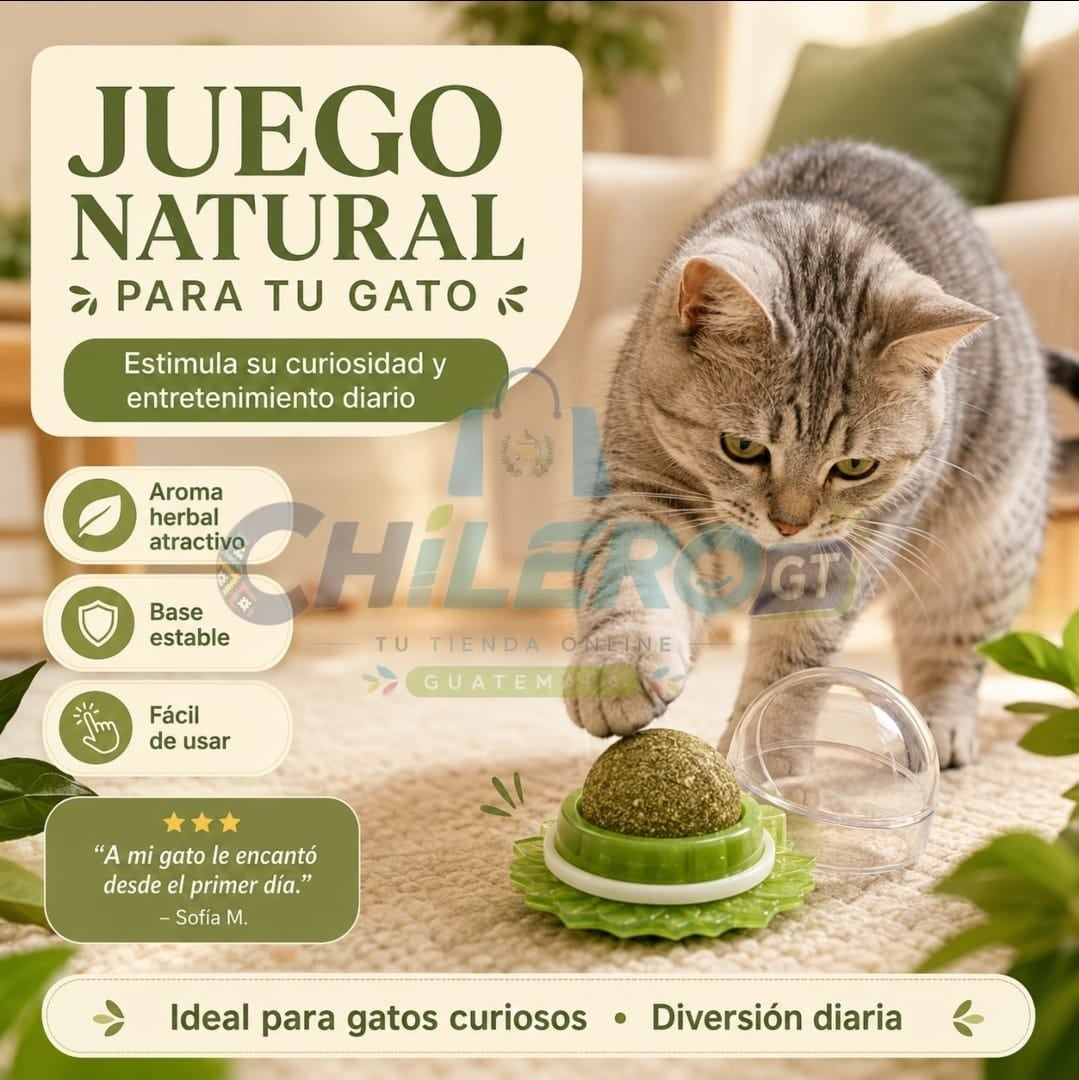Catnip Natural para Gatos – Diversión y Estimulación