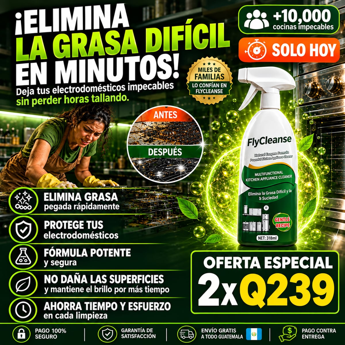 2X1 Fly cleanse - Limpiador profesional quitaoxido y grasa