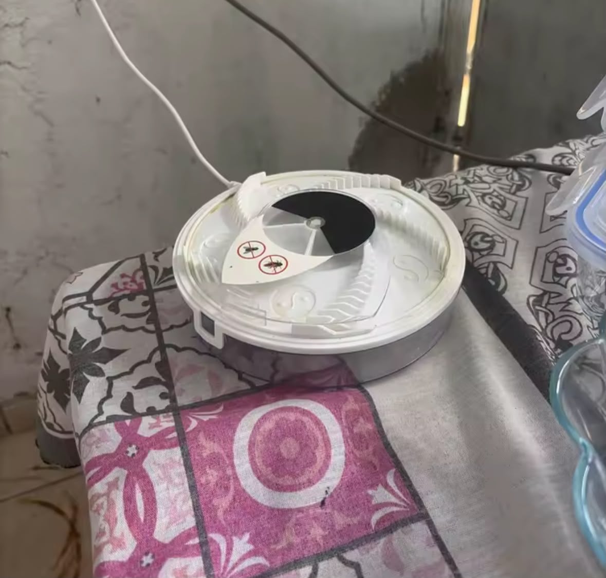 Foto de Silvia Perez
