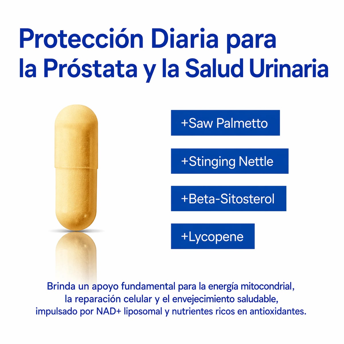 NAD+ SELERB BOOSTER Energía, potencia y vitalidad masculina total