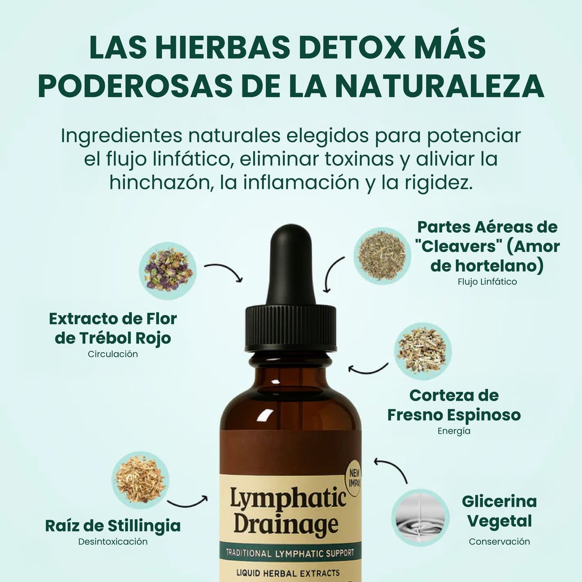 Lymphatic Drainage™ Elimina Lo Que Tu Cuerpo Ya No Necesita