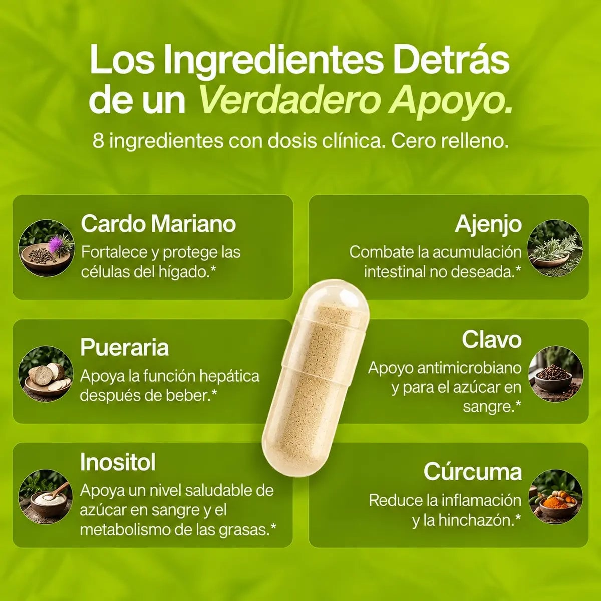 UVOLA — Apoyo hepático con cardo mariano
