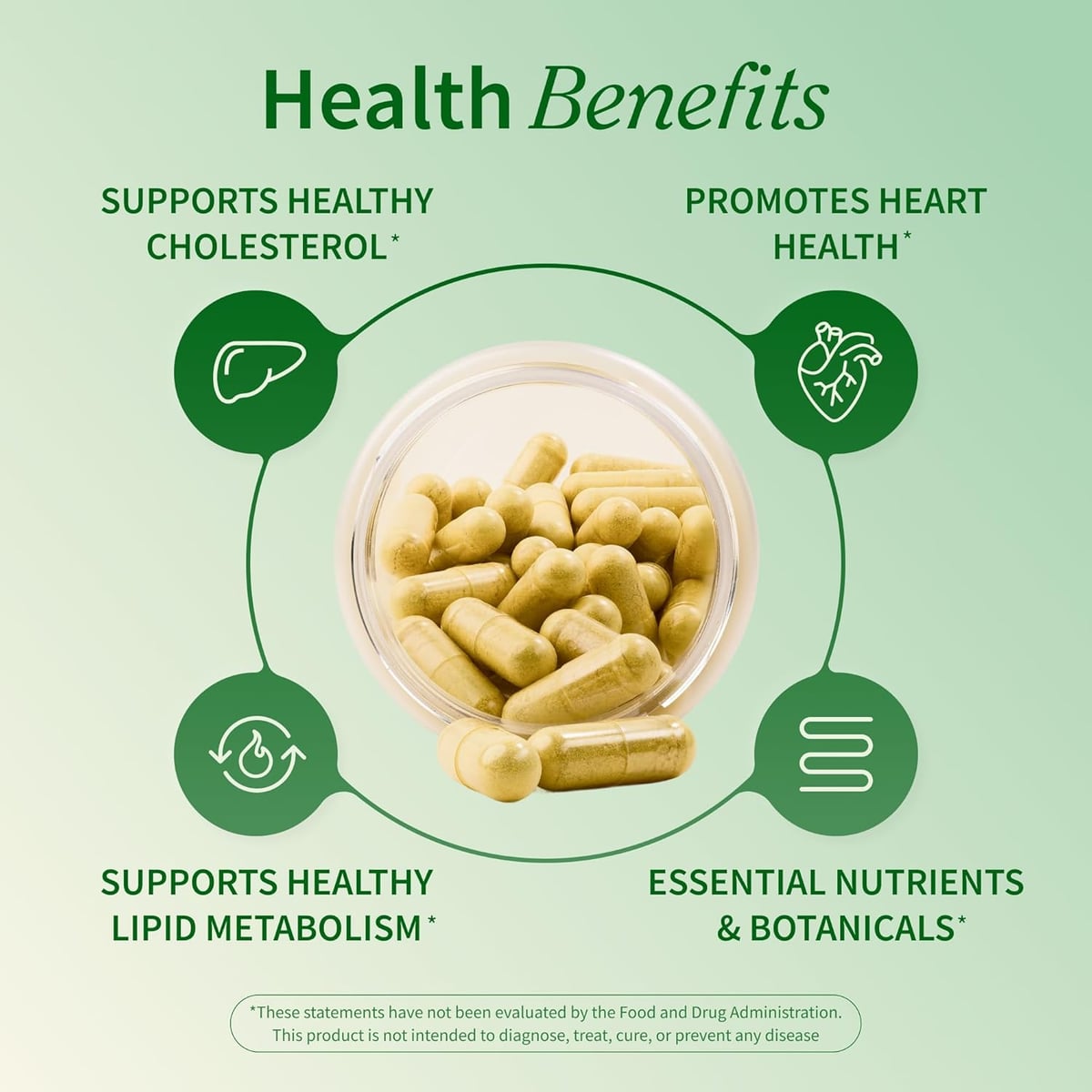 Colesterol Health