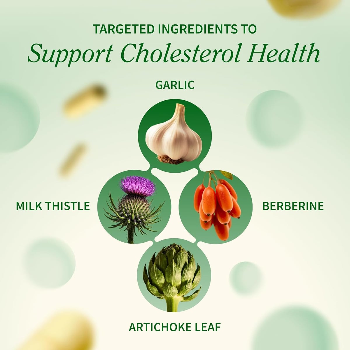 Colesterol Health